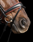 NOSEBAND | BROWN PADDING | BLACK NO. 100