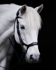 PONY BRIDLE | DROPPED | BLACK No. 15