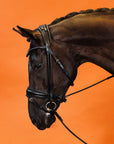 BRIDLE | DRESSAGE ROUND STITCHED | BLACK No. 10
