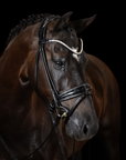 BRIDLE No. 104 | BLACK