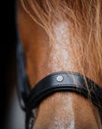 ICELANDIC BRIDLE No. 18 | BLACK