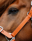 ORANGE LÄDERGRIMMA MED GRIMSKAFT