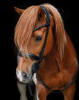 ICELANDIC BRIDLE No. 22 | BLACK