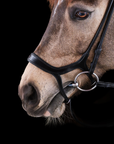 PONY BRIDLE No. 13 | BLACK