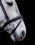 PONY BRIDLE No. 14 | BLACK