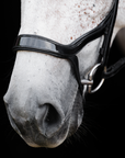 BRIDLE No. 110 | BLACK