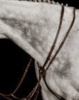 MARTINGALE No. 72 | BROWN 