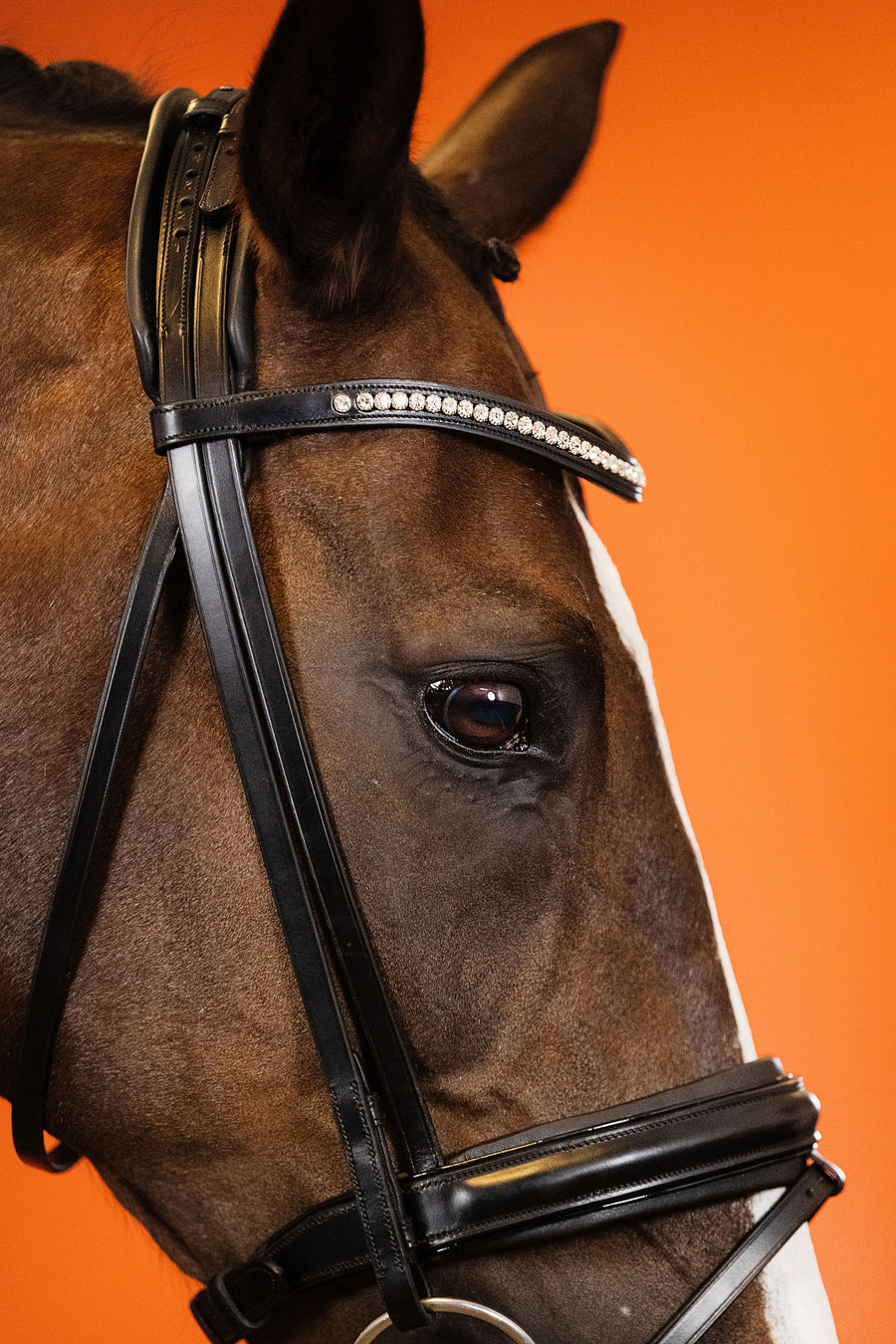 BRIDLE | DRESSAGE FLAT | BLACK No. 01