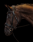 BRIDLE No. 102 | BLACK