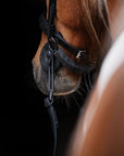 ICELANDIC BRIDLE No. 22 | BLACK