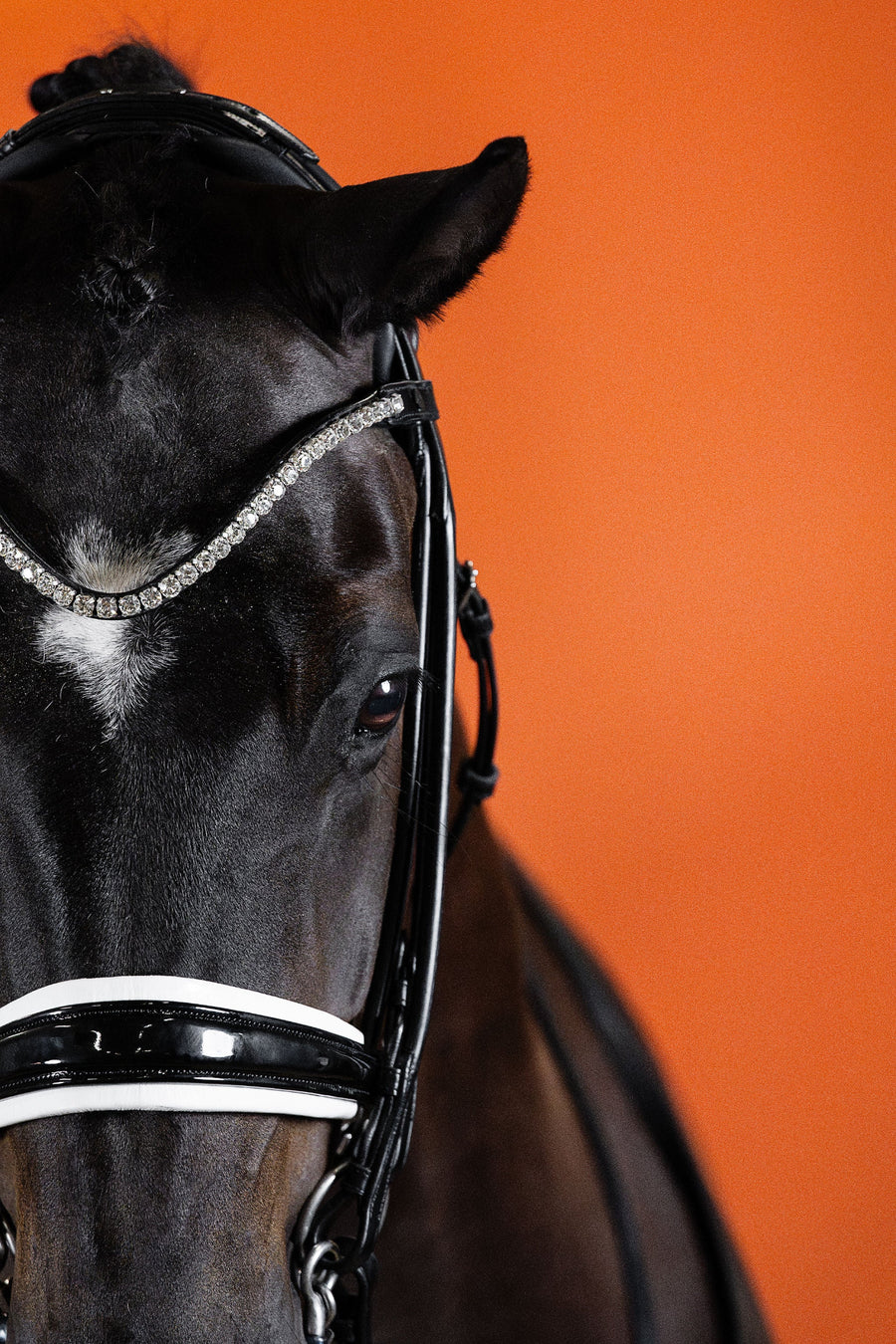 DOUBLE BRIDLE | LACQUERED WITH WHITE PADDING | BLACK No. 03