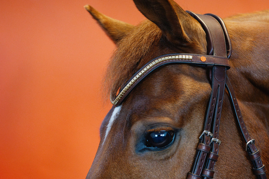 BROWBAND | CLINCHERS | BROWN No. 56