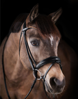 PONY BRIDLE No. 11 | BLACK
