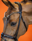 BRIDLE | DRESSAGE ROLLED | BROWN No. 02