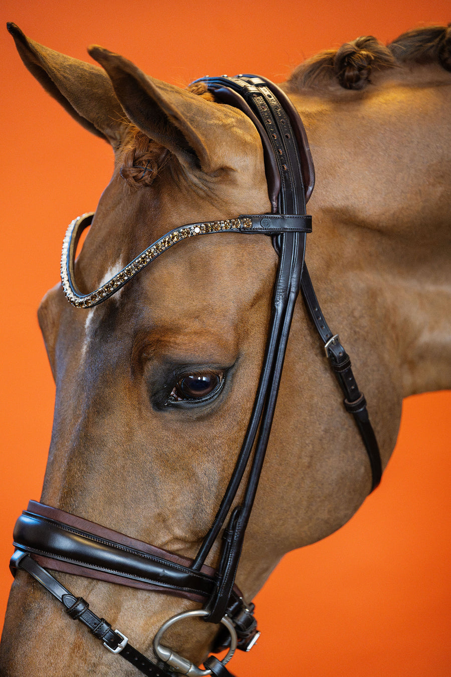 BRIDLE | DRESSAGE ROLLED | BROWN No. 02