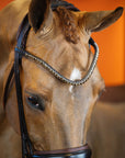 BRIDLE | DRESSAGE ROLLED | BROWN No. 02