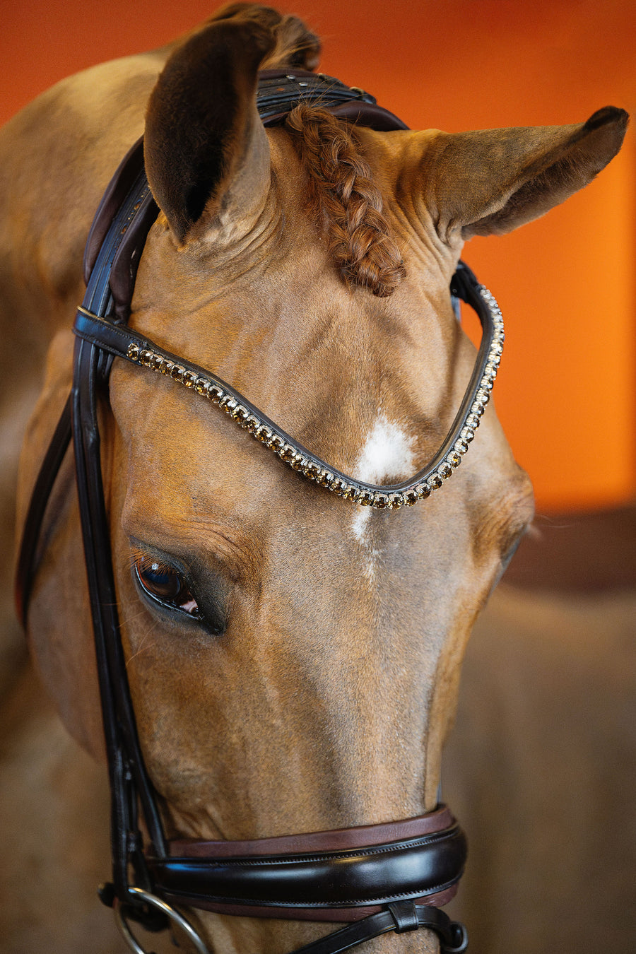 BRIDLE | DRESSAGE ROLLED | BROWN No. 02