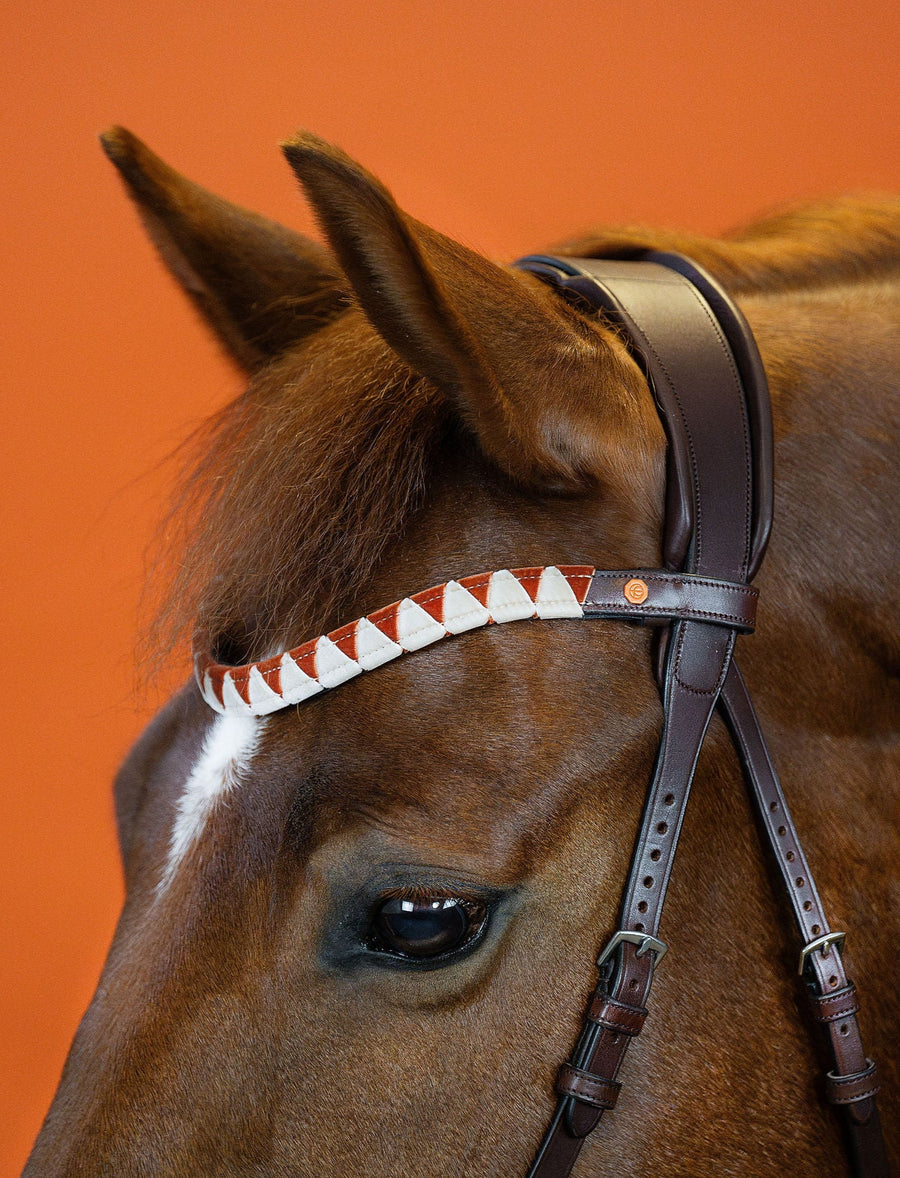 BROWBAND | SIGNATURE ORANGE | BROWN No. 57