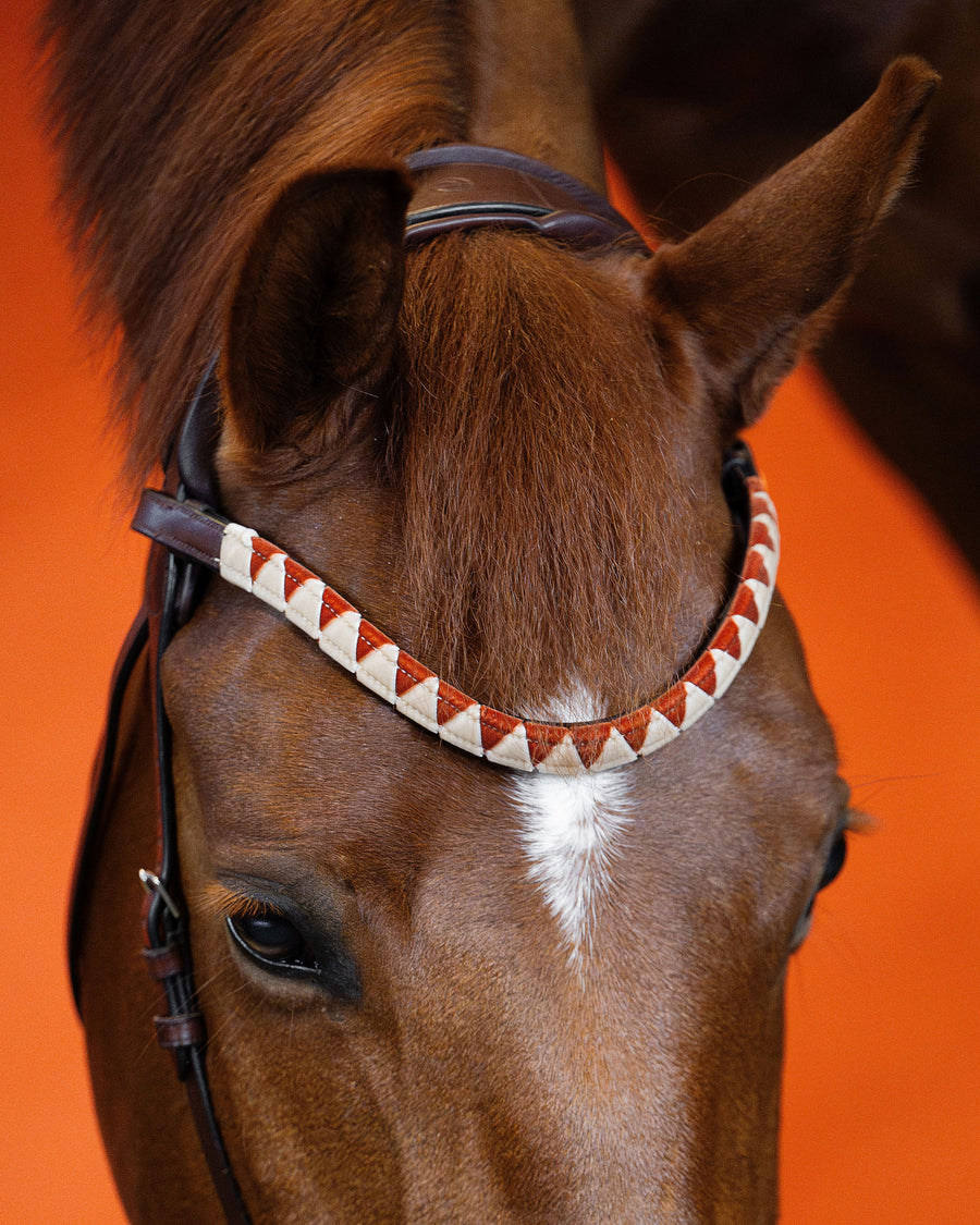 BROWBAND | SIGNATURE ORANGE | BROWN No. 57